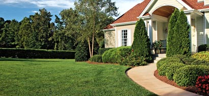 Feature Watch your Garden Grow