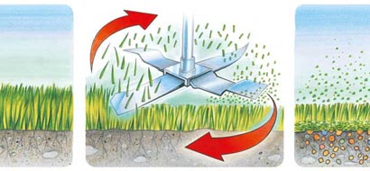Mulch Diagram