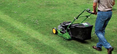 Rear-Roller
