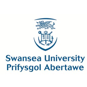 Swansea University