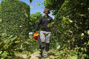 Echo PB-2520 - Powercut